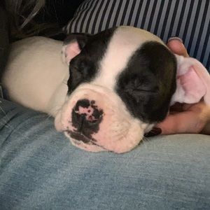 Meet your Posher, Brandy